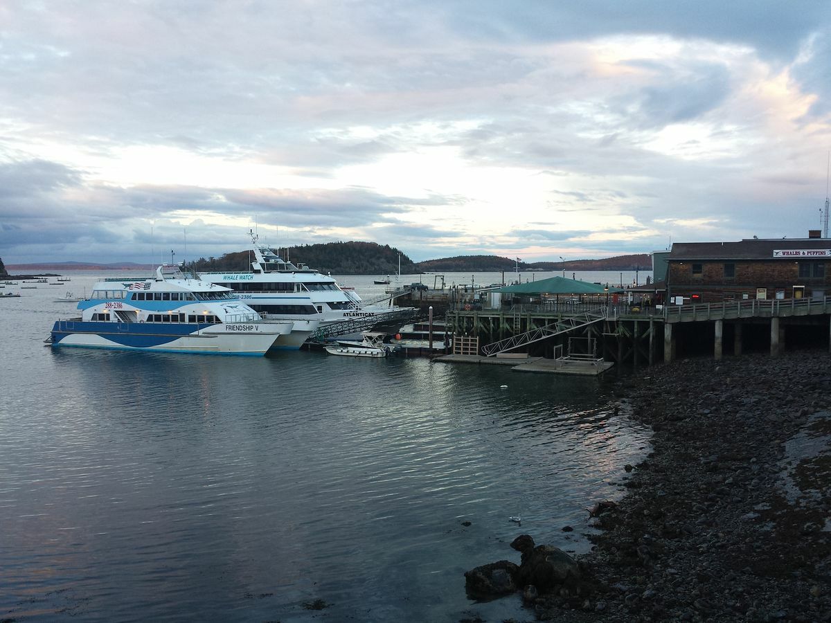 Click to See Next Image